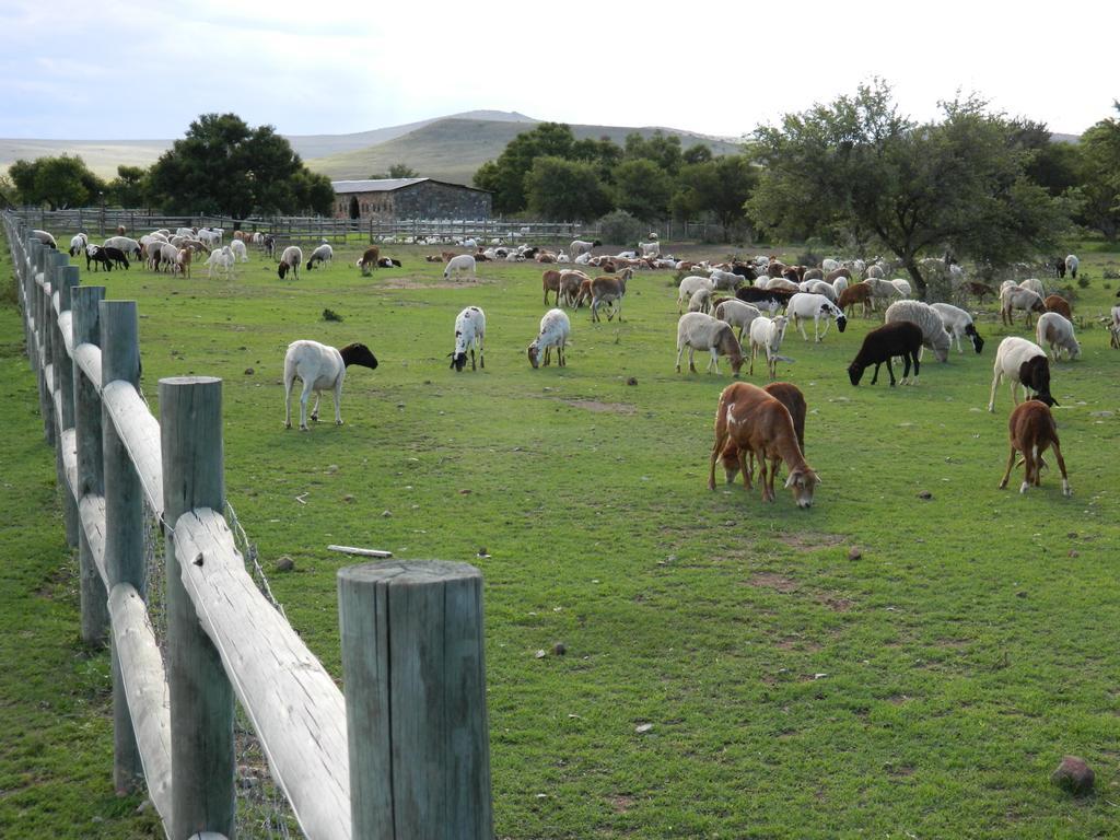 Waterval Farmstay Graaff-Reinet Kültér fotó