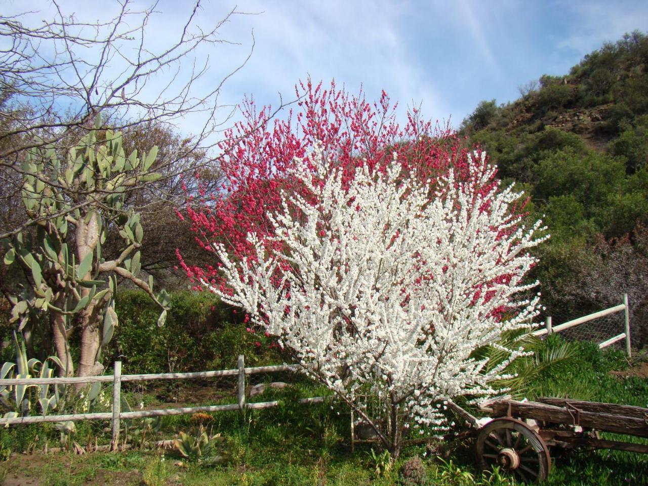 Waterval Farmstay Graaff-Reinet Kültér fotó