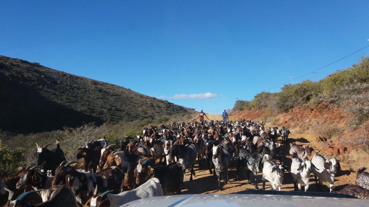 Waterval Farmstay Graaff-Reinet Kültér fotó