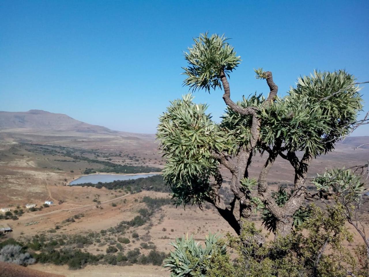 Waterval Farmstay Graaff-Reinet Kültér fotó